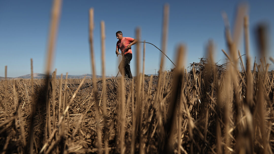 You are currently viewing Interview of Prof. Vlontzos in “KATHIMERINI” about the consequences of the storm Daniel on agricultural production.