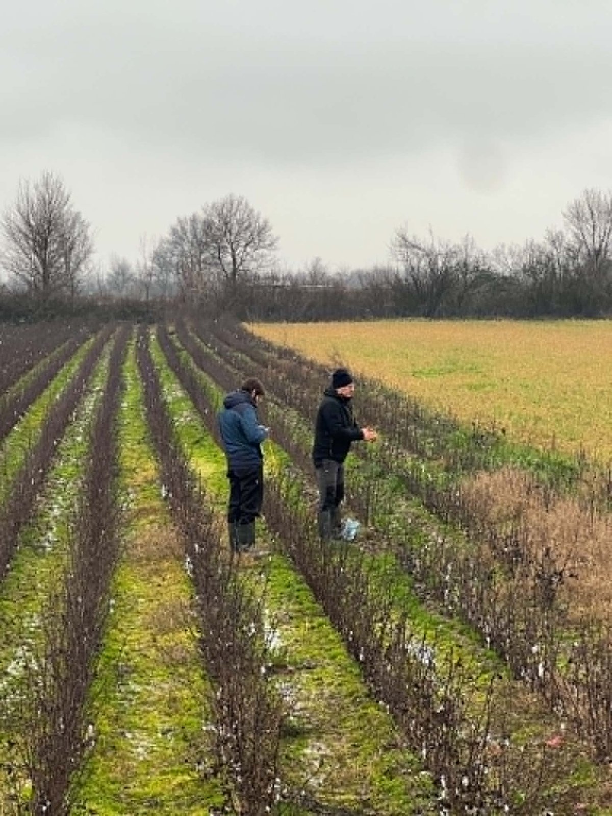 ZALF researchers during field work at the Greek Demonstration Site in Karditsa