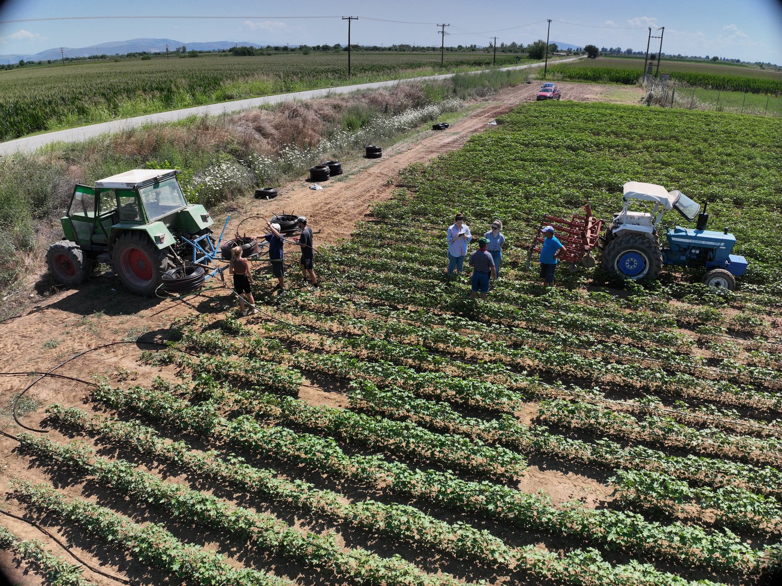 Tractor laying drip irrigation tubing in a cotton field in Karditsa