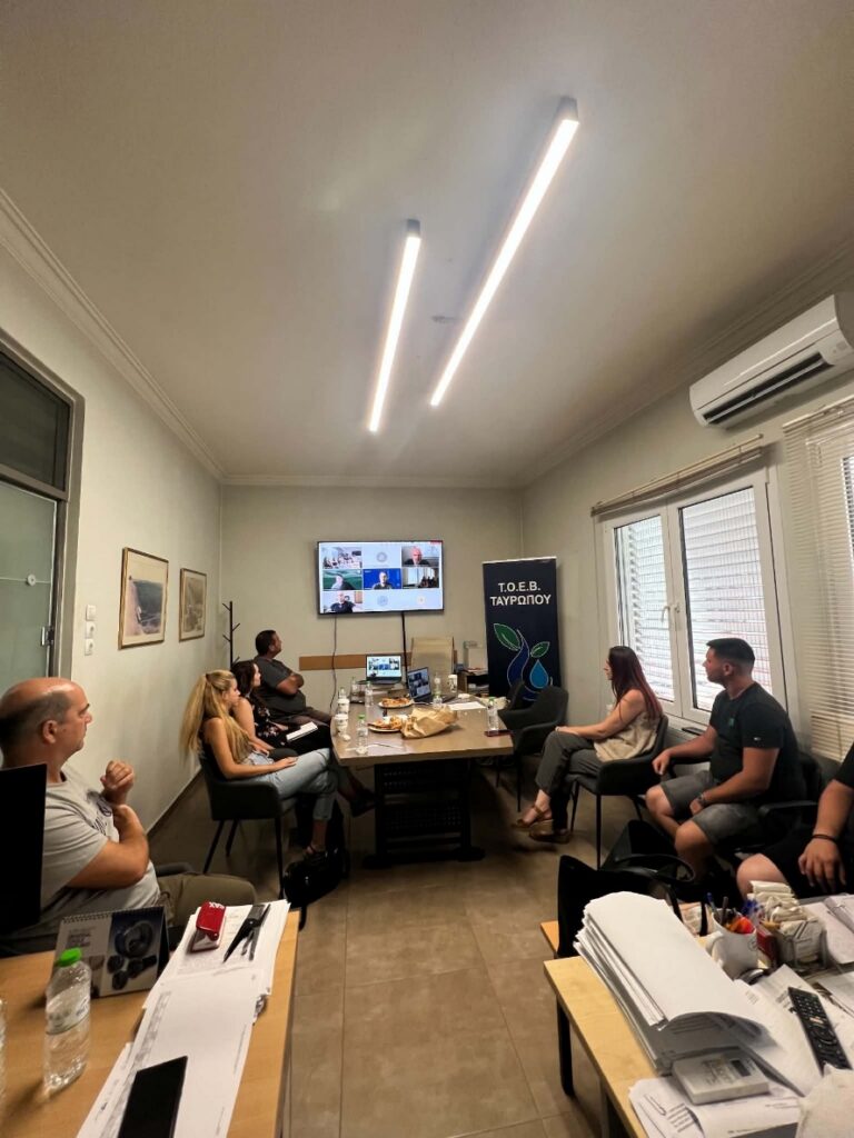 Online testing workshop of the DIONYSUS-inov Decision Support System with Greek stakeholders