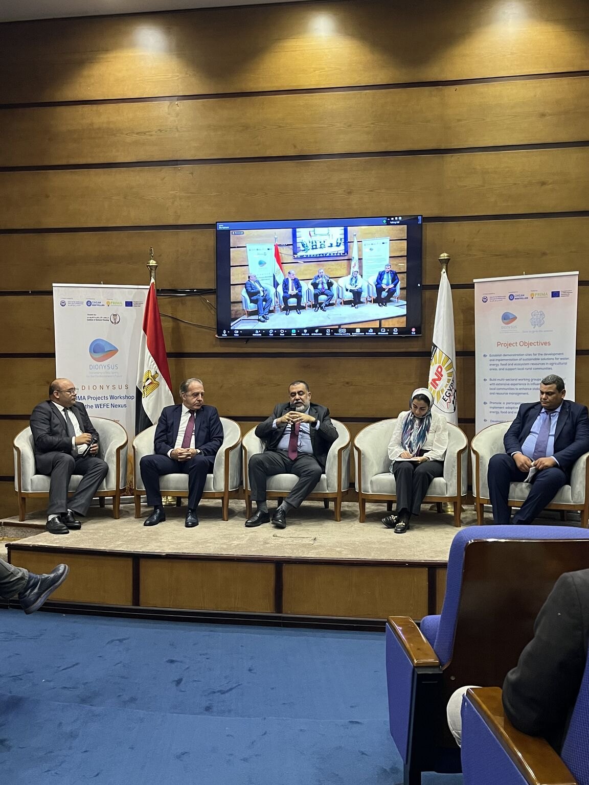 Five panellists seated in armchairs on stage during the DIONYSUS round table at the INP in Cairo